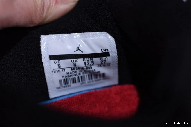 Jordan Retro AQ3816-065 Raptors
